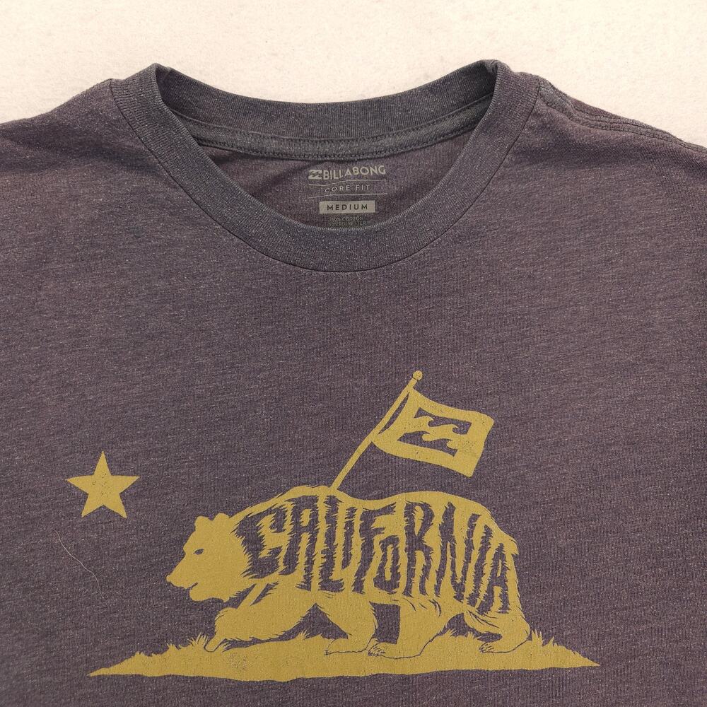 Billabong California Crew Neck Short Sleeve Graphic T Shirt Mens Size M Gray